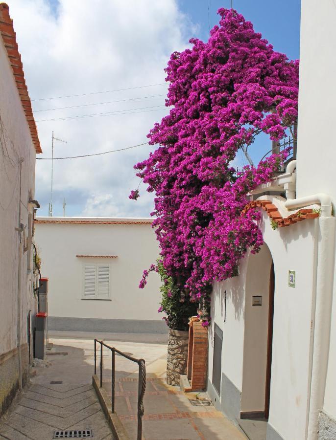 B&B Casa Angelina อนากาปรี ภายนอก รูปภาพ